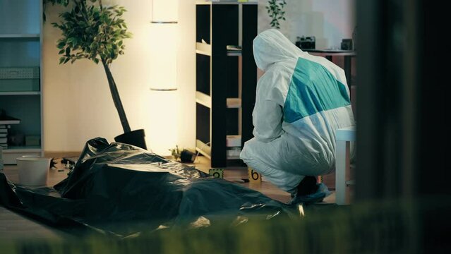 Forensic expert collecting dna samples near corpse in body bag, murder scene