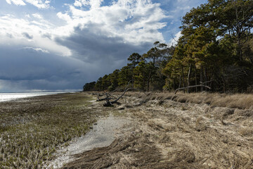Sandy Coast