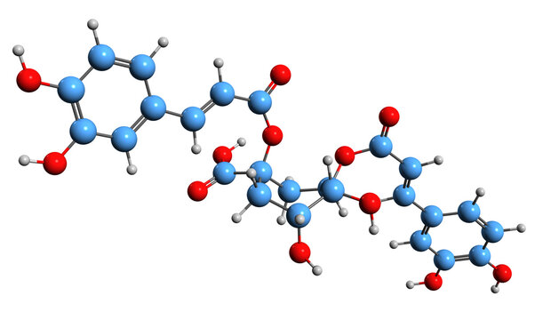  3D image of Cynarine skeletal formula - molecular chemical structure of hydroxycinnamic acid derivative isolated on white background