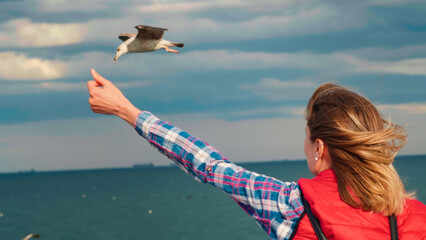 Young woman feeds seagulls, rear view. Amazing birds at the ocean, sea, seaside. Seagull flying...