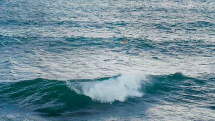 Seagull fishing and flying across the wide blue sea. Marine environment concept.