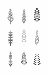 Vintage tree branches vector set in hand drawn style with leaves and flowers isolated on white background. Set of different linear laurel leaves.