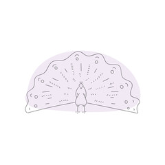 peacock bird sketch vector illustration 