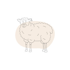 sheep, farm animal, sketch vector illustration 