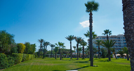 Beautiful hotel resort garden. Palm trees in blue sky. Travel vacation paradise at beach resort. Exotic destination.