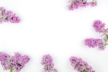 lilac branches are blooming. Lilac purple flowers on a white background. Delicate Provence frame....