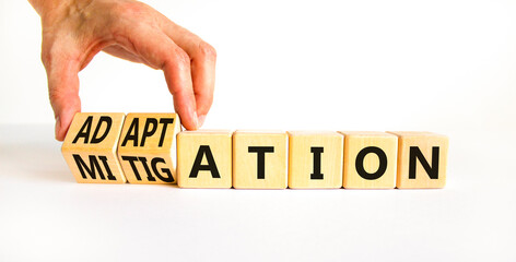 Adaptation or mitigation symbol. Businessman turns cubes and changes the concept word Mitigation to...