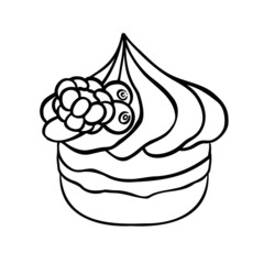 sweet cupcake bun, cake dessert, hand drawn illustration
