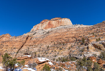 Fototapeta premium Scenic Winter Landscape in Zion National Park Utah