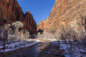 Scenic Winter Landscape in Zion National Park Utah