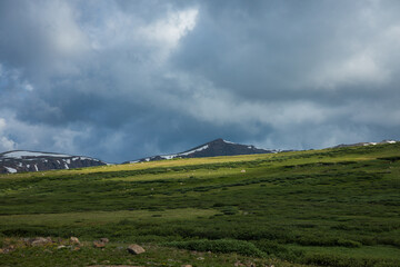 High alpine meadow with dark clouds and dramatic lighting