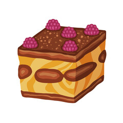 tiramisu chocolate with raspberries, cake dessert, hand-drawn illustration. Vector illustration