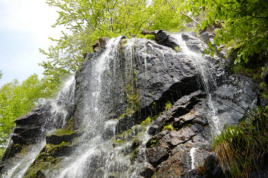 Radau-Wasserfall Bad Harzburg im Frühling