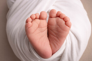 The tiny foot of a newborn Soft feet of a newborn in a white blanket and on a white background Studio Macro photography 