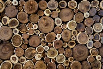 A wooden panel made of sawn acacia trunks of different sizes and textures.