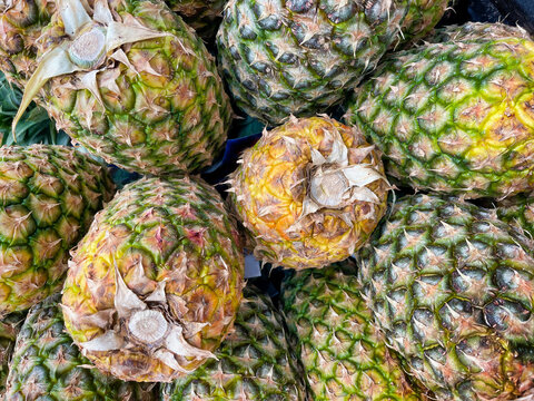 A stalk of pineapples on display at the supermarket.