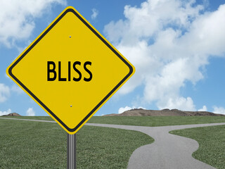 The word Bliss written for happiness concept.