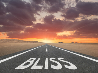 The word Bliss written on a highway in nature at the beach during sunset for happiness concept.