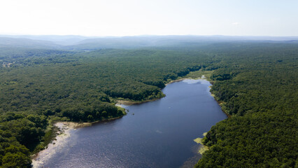 Obraz premium Top view of forest and lake with drone. Longoz forests and the lake in summer.