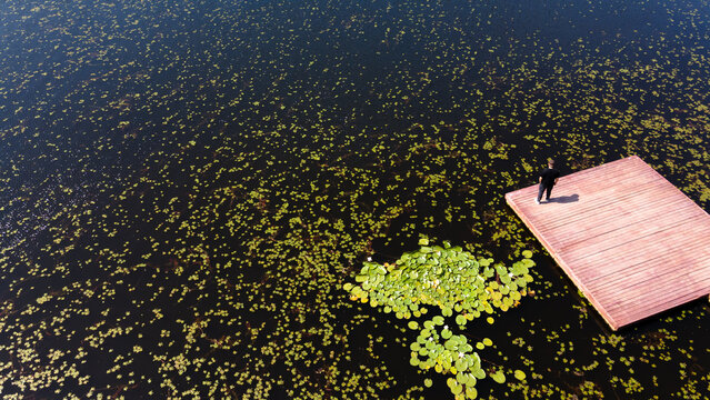 A person standing on the platform above the lake. Drone view of man over lake. The lake in the longoz forests of Igneada.