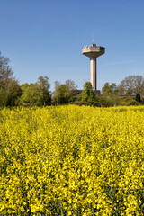 Wasserwerk von Ahrensbök, Rapsblüte