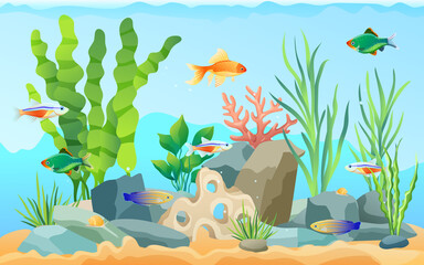 Fototapeta na wymiar Hand drawn aquarium with fish and seaweed. Goldfish and neon tetra, green tiger barb and blue striped tamiran wrasse swimming among underwater plants