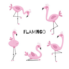 Cute little flamingo. Collection of hand drawn wild birds. Vector isolated illustrations.
