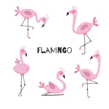 Cute little flamingo. Collection of hand drawn wild birds. Vector isolated illustrations. © DigARTbyHavroshka
