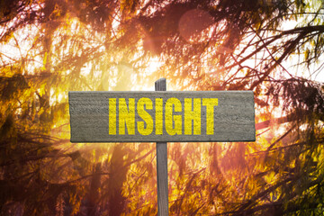 Insight sign for new ideas concept.