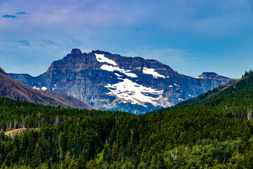 Custer Upper Waterton Lakes Waterton Lakes National Park Alberta Canada