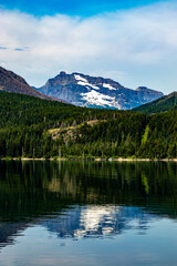 Custer Upper Waterton Lakes Waterton Lakes National Park Alberta Canada