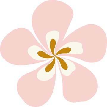 Fototapeta Large Colorful Exotic Tropical Flower Illustration