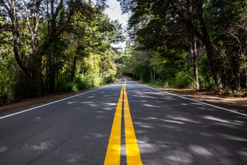 Route 77, Small Circuit, Bariloche, Rio Negro, Argentina