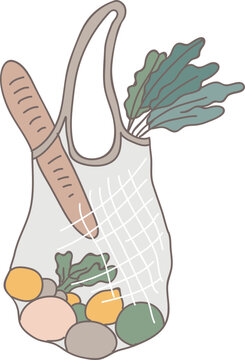 Reusable Net Shopping Bag / Grocery Ecobag Illustration