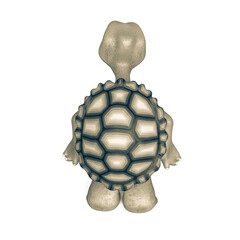 turtle cartoon rear view