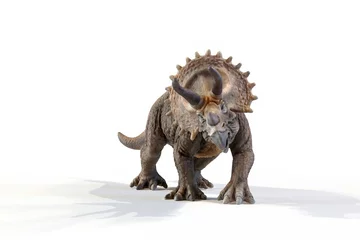 Gordijnen triceratops dinosaur 3d rendering on white background © Roman