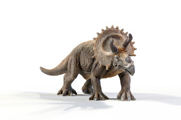 Fototapeta na wymiar triceratops dinosaur 3d rendering on white background