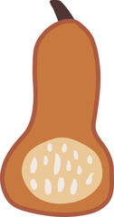 Dark Orange Muscat Pumpkin Illustration