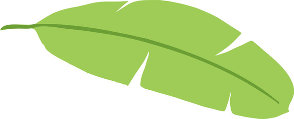 Green Banana Leaf Illustration