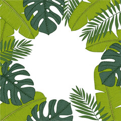 Green Tropical Leaves Palms Frame