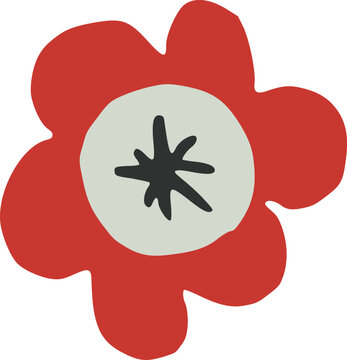 Red Papaver Flower Illustration