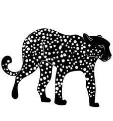 Cheetah illustration