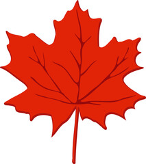 Red Big Maple Leaf Illustration