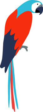 Red Ara Parrot Bird Illustration