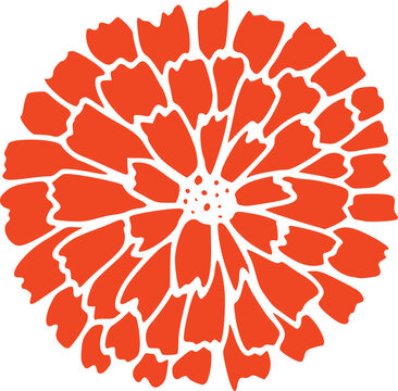 Red Mums Flower Illustration