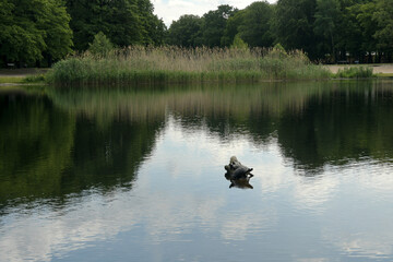 seelandschaft