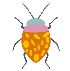 Bug insect illustration