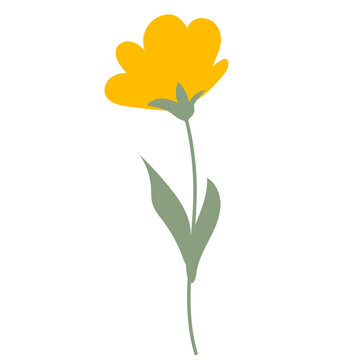 Spring flower illustration