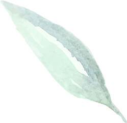 Purple watercolor flowers and leaves collection