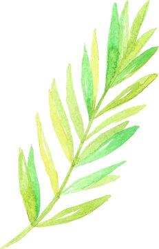 recommend clip art: Hand drawn botanical illustration s, watercolor branches and leaves